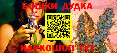 сатива Донецк