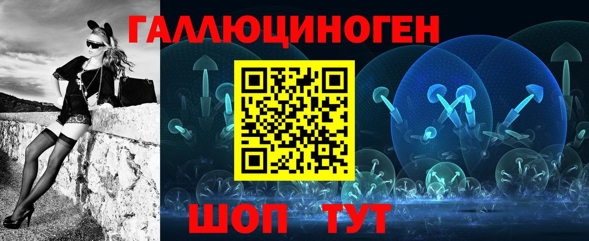 Галлюциногенные грибы Psilocybine cubensis  Можайск 